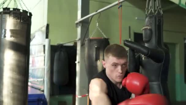 Young Muscular Man Professional Boxer Fights Shadow Steady Shot — Stock Video