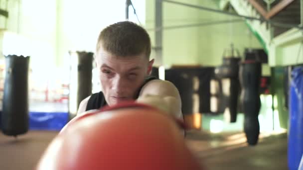 Hombre Musculoso Boxeador Profesional Hace Golpes Cámara Disparo Constante Cámara — Vídeos de Stock