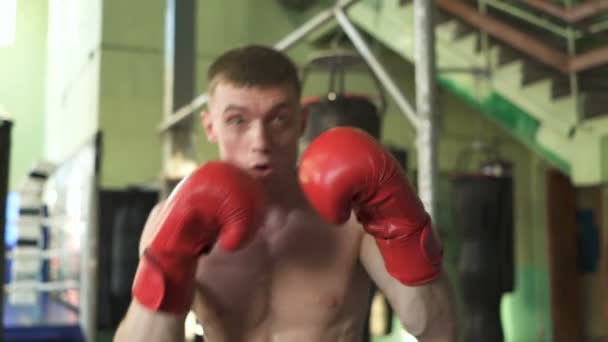 Homme Boxeur Professionnel Fait Des Coups Dans Ombre Coup Régulier — Video