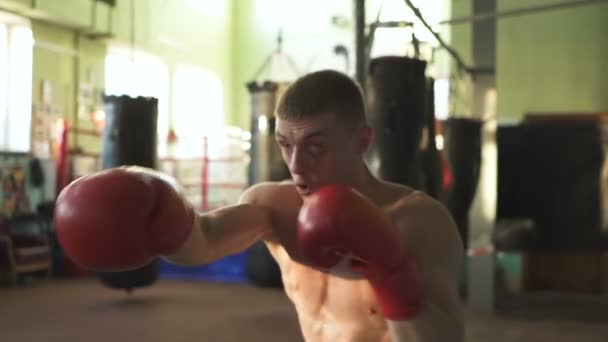 Muscular Man Professional Boxer Fights Boxing Box Steady Shot Slow — Stock Video