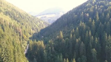 4k Havacılık manzarası. Yeşil odunlu dağ kanyonunun üzerinden uçmak 