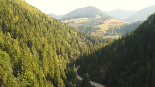 Aerial Landscape 带着道路 绿木和房屋飞越高山峡谷 — 图库视频影像