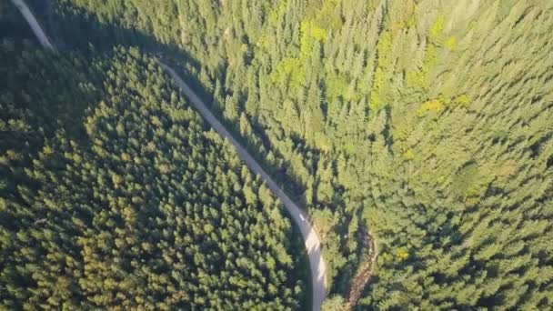 Aerial Landscape Flight Highly Mountain Road Car Top View Green — Stock Video