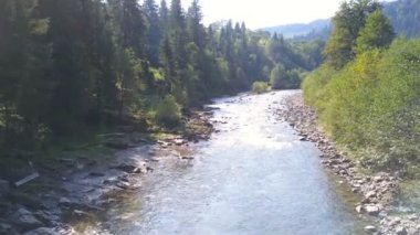 4k .Aerial. Dağ nehrinin üzerinde odunlarla yavaş bir uçuş. 