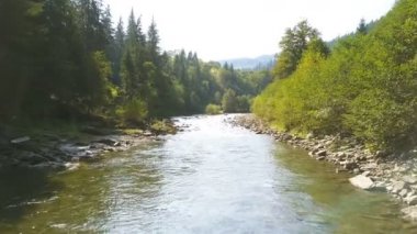 4k .Aerial. Dağ nehrinin üzerinden odunla uçmak. Düşük yükseklik