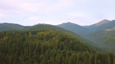 4K .Aerial. Flight up over mountain and wood 