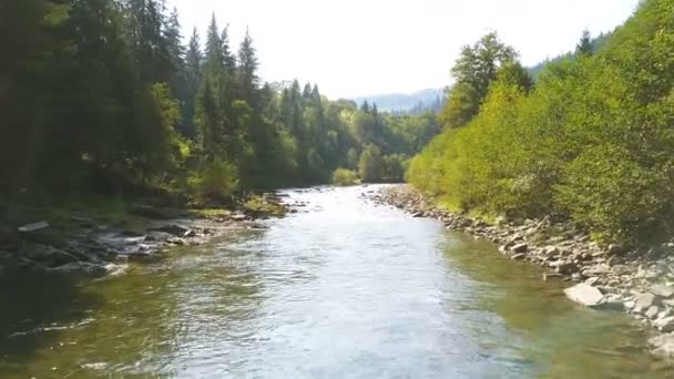 Aerial Let Přes Horskou Řeku Dřevem Malá Výška — Stock video