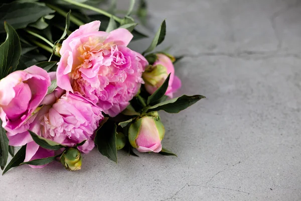 Bouquet Pink Peonies Beautiful Summer Flowers Still Life Place Text — Stock Photo, Image