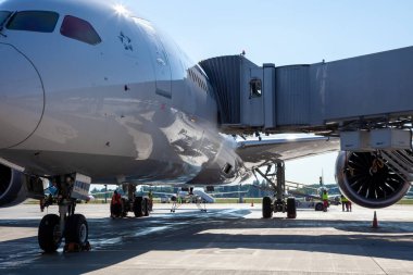 Kyiv, Ukrayna - 1 Temmuz 2020: Boryspil Uluslararası Havaalanı platformunda uçak. Boeing 787-9 Dreamliner. TC-LLK TURKISH HAVAALARI.