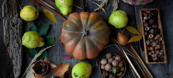 Podzimní Zátiší Dřevěném Stolku Dýně Kaštany Žaludy Quince Ořechy Kornouty — Stock fotografie