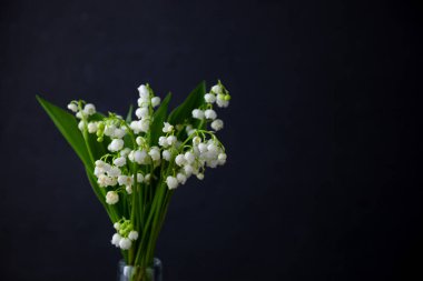 Bir buket nilüfer çiçeği. Siyah arka planda, yazı için yeri olan. Narin beyaz bahar çiçekleri. Cam şişedeki buket. Stilllife. Kopyalama alanı.
