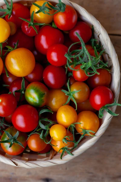 Czerwone Żółte Pomidory Wiśniowe Widok Góry Zbieraj Warzywa Pomidor Stole — Zdjęcie stockowe