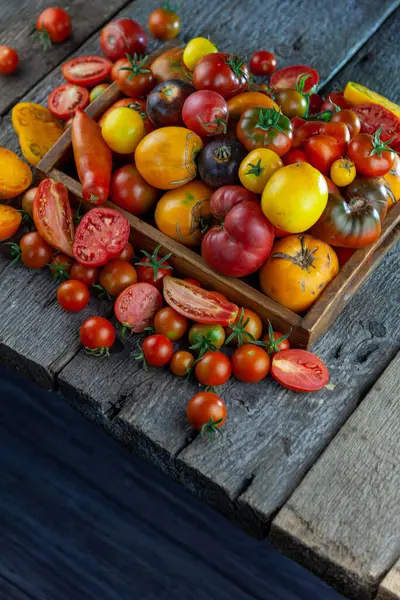 不同品种和颜色的番茄顶视图 放在木制的背景图上 — 图库照片