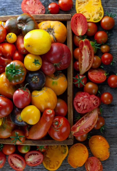 Pomidory o różnych odmianach i kolorach widok z góry. Układ na drewnianym tle. Jedzenie. Pomidor w plasterkach, składniki sałatki. Miejsce na tekst. Żółta i czerwona wiśnia. Przestrzeń kopiowania. — Zdjęcie stockowe