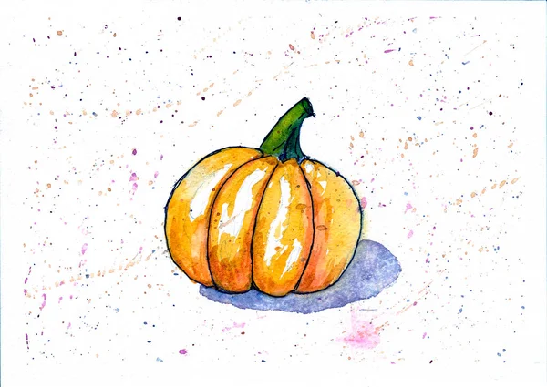 Illustration Citrouille Dessinée Sur Papier Aquarelle Automne Nature Morte Aquarelle — Photo