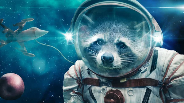 Raccoon Takes Spacewalk Collect Apple Image Illustration — Stock Photo, Image
