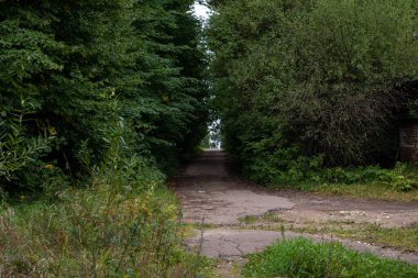 Yeşil bir parktaki patika fotoğrafı. Yaz enstantane