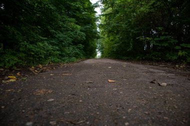 Yeşil bir parktaki patika fotoğrafı. Yaz enstantane