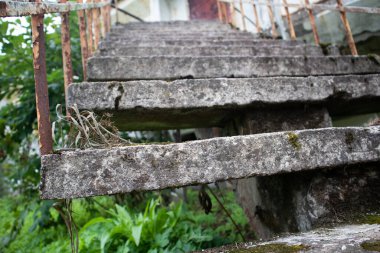 Çimlerle kaplı eski bir merdivenin fotoğrafı.