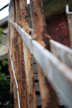 Çimlerle kaplı eski bir merdivenin fotoğrafı.