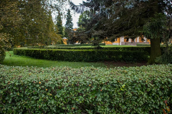 Sommer Landschaft Foto Des Parks Pulkovo Absservatory — Stockfoto