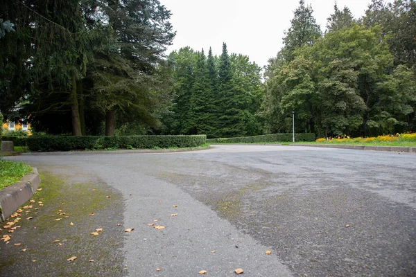 Foto Eines Fußweges Einem Grünen Park Sommerliche Momentaufnahme — Stockfoto