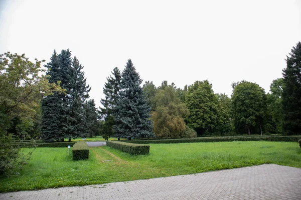 Parken Sie Bei Sommerwetter Park Landschaftspark Pulkovo Absservatory — Stockfoto