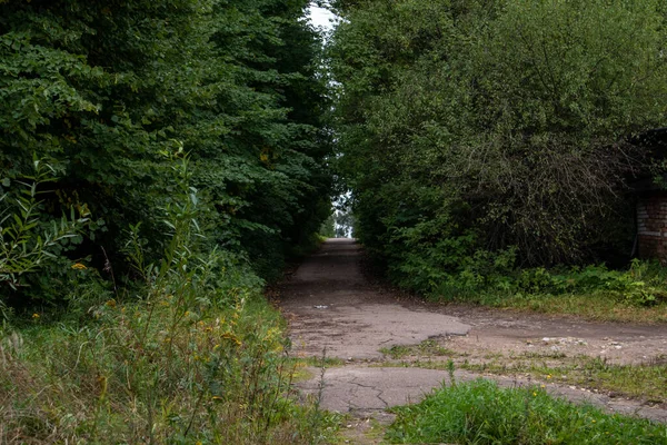 Yeşil bir parktaki patika fotoğrafı. Yaz enstantane