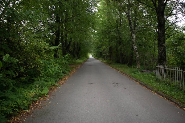 Yeşil bir parktaki patika fotoğrafı. Yaz enstantane