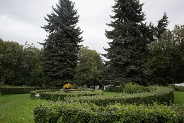 Parken Sie Bei Sommerwetter Park Landschaftspark Pulkovo Absservatory — Stockfoto