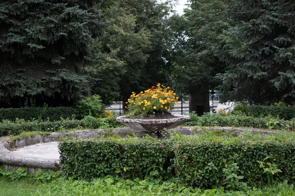 Estacione Sity Tempo Verão Parque Paisagístico Pulkovo Absservatory — Fotografia de Stock