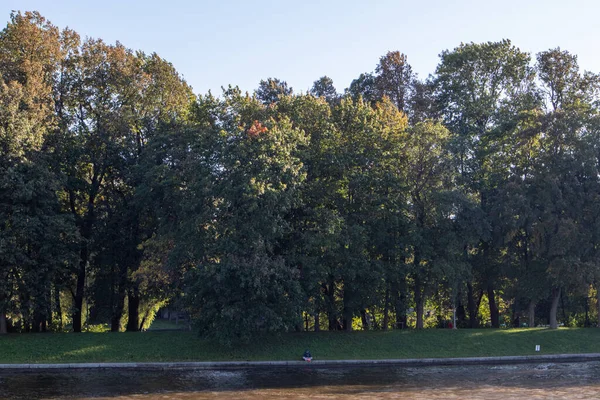 Foto Der Landschaft Der Bäume Die Über Dem Wasser Stehen — Stockfoto