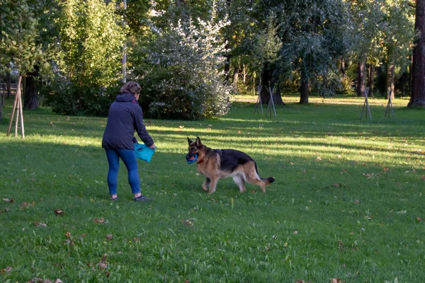 ロシア サンクトペテルブルク 2020年9月21日 公園で遊んでいる犬の女性の写真 — ストック写真