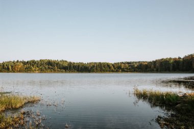 Güneşli bir yaz gününde nehrin güzel bir görüntüsü. Doğanın manzara fotoğrafçılığı. Rusya