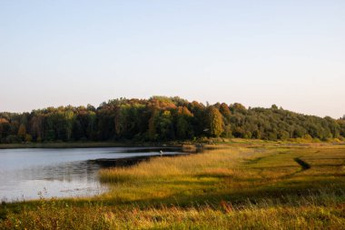 Güneşli bir yaz gününde nehrin güzel bir görüntüsü. Doğanın manzara fotoğrafçılığı. Rusya