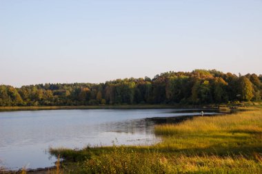 Güneşli bir yaz gününde nehrin güzel bir görüntüsü. Doğanın manzara fotoğrafçılığı. Rusya