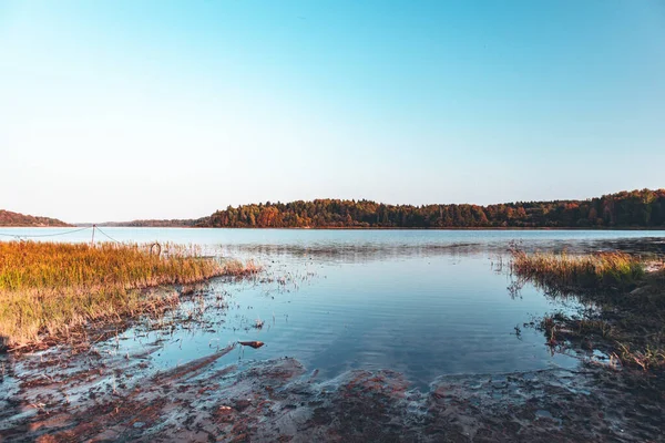 Beautiful Image River Sunny Summer Day Landscape Photography Nature Russia — Stock Photo, Image