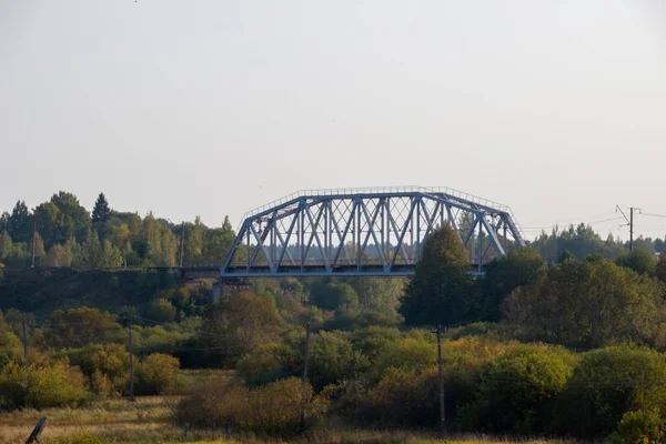 Puente Hierro Contra Bosque Verde Paisaje Fotografía — Foto de Stock