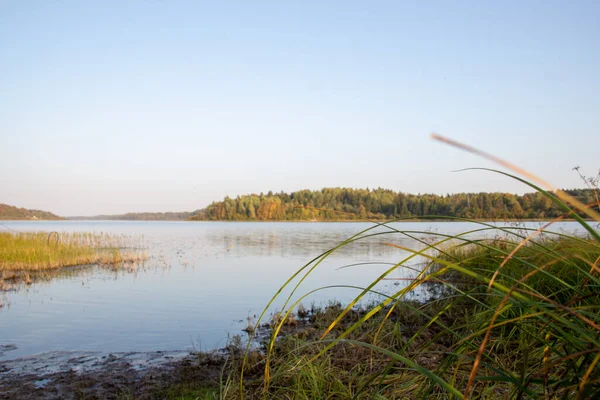 Beautiful Image River Sunny Summer Day Landscape Photography Nature Russia — Stock Photo, Image