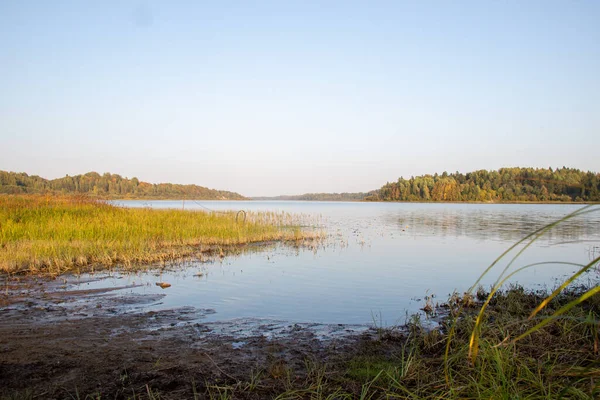 Beautiful Image River Sunny Summer Day Landscape Photography Nature Russia — Stock Photo, Image