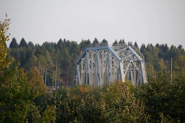 Iron Bridge Green Forest Landscape Photography — Stock Photo, Image