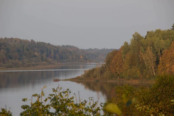 Чудовий Образ Річки Сонячний Літній День Пейзажна Фотографія Природи Росія — стокове фото