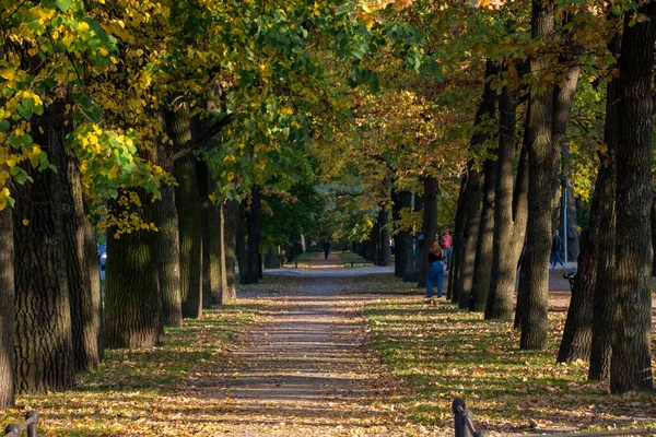 Rosja Sankt Petersburg Października 2020 Ludzie Chodzą Jesiennej Drodze Parku — Zdjęcie stockowe