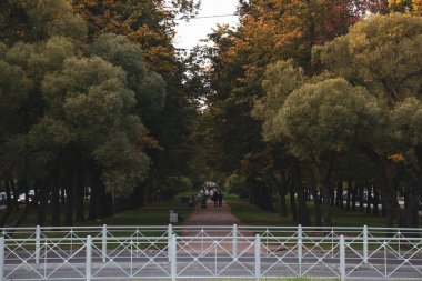 Rusya, St. Petersburg-1 Ekim 2020: İnsanlar parkta sonbahar yolunda yürüyor. Puşkin 'in güzel manzarası