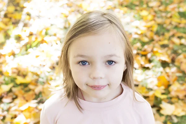 美丽小女孩的秋天画像 — 图库照片