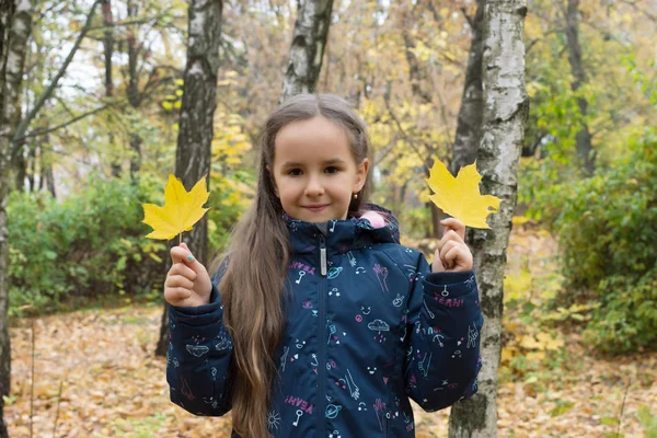 Sonbahar Iki Yaprakları Ile Güzel Küçük Kız Portresi — Stok fotoğraf