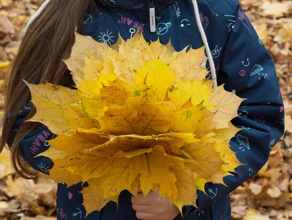 Bouquet Yellow Leaves Girl Hands — Stock Photo, Image