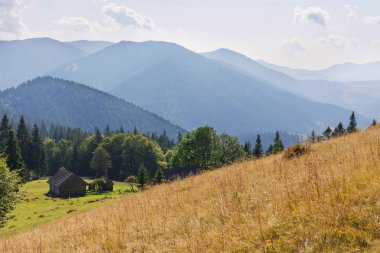 Muhteşem Manzara Karpat Dağları Sabah