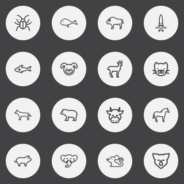 16 düzenlenebilir Hayvanat Bahçesi simgeler çizgi stili kümesi. Balina, filler gövde, kedi ve daha fazla gibi simgeler içerir. Web, mobil, UI ve Infographic tasarım için kullanılabilir.