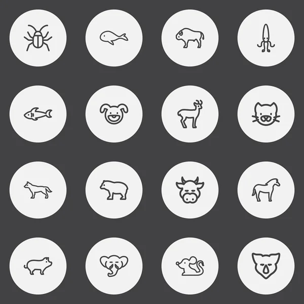 Conjunto de 16 iconos de zoológico editables estilo de línea. Incluye símbolos como ballena, trompa de elefante, coño y más. Se puede utilizar para diseño web, móvil, IU e infografía . — Archivo Imágenes Vectoriales